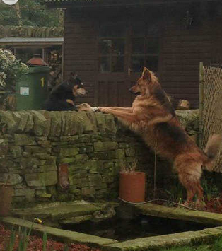 这是在秀恩爱吗