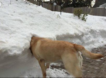 就想一个人静静