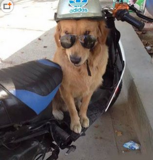 新买的车，妹纸约不？