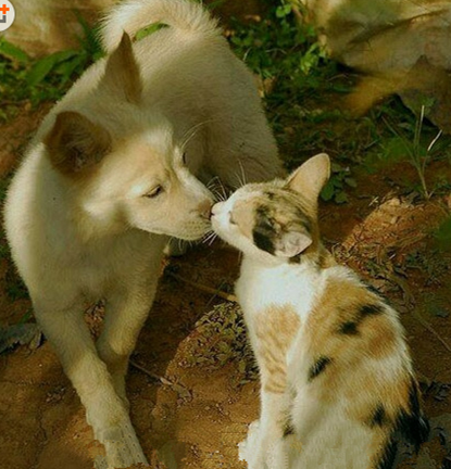 你们这样真的好吗