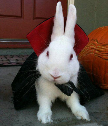 还有比我更帅的么