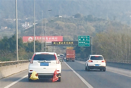 轿车外挂鸡鸭跑高速 求鸡鸭的心理阴影面积