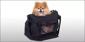 具有人性化的八大航空公司，让你的宠物也拥有“专座”