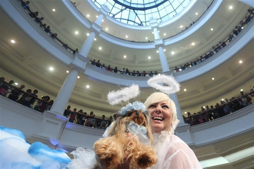 巴西圣保罗举行小狗狂欢节服装比赛 造型各异吸引眼球