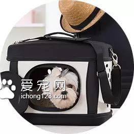 具有人性化的八大航空公司，让你的宠物也拥有“专座”