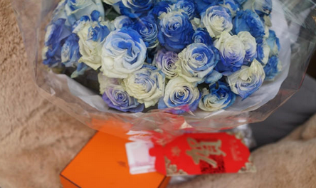 王思聪给狗发红包 网友调侃：人不如狗