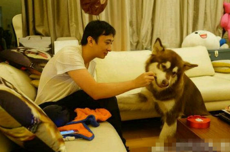 王思聪给狗发红包 网友调侃：人不如狗