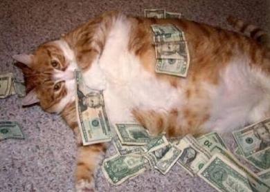 这些动物的姿态是否就是假期的你！