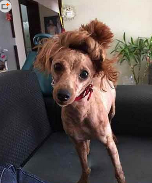 我美了美了美了