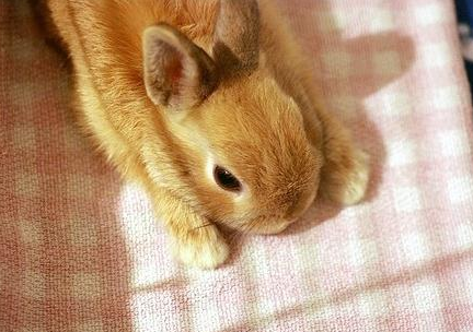 天气好晒晒太阳