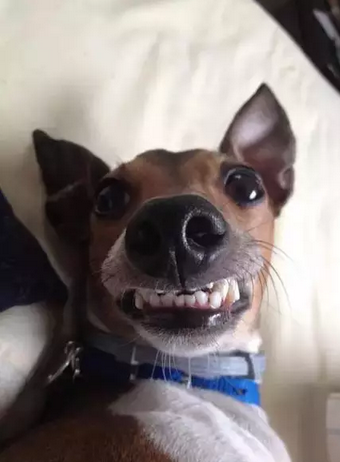 大哥，能别笑么