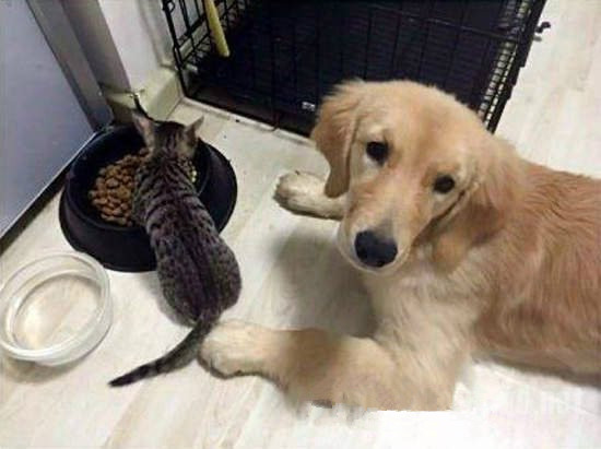 ……好吧，你高兴就好