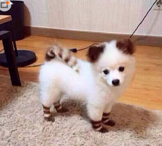 一看就知道化过妆