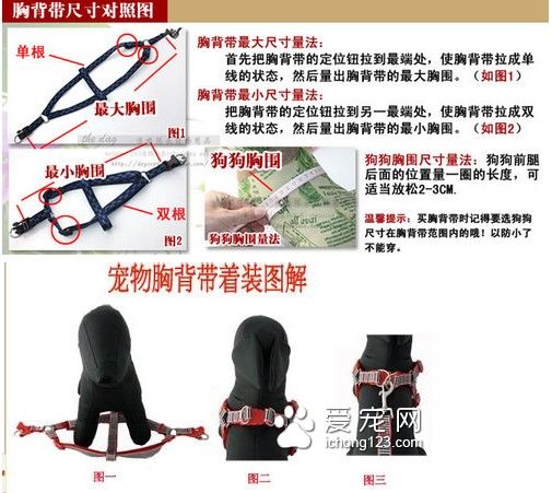 狗狗牵引绳怎么套 牵引绳的使用方法