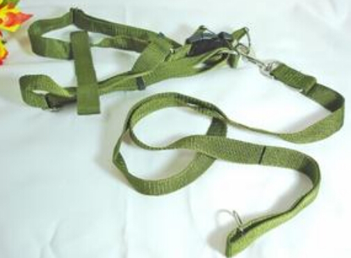 怎么制作牵引绳 手作牵引有爱宠物更安全