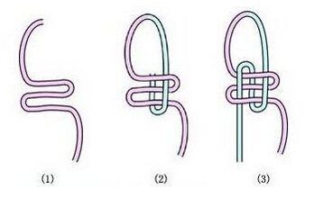 松鼠牵引绳怎么编 简单好上手美美哒
