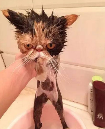 水是朕的天敌！