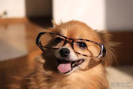 带上眼镜还是有模有样的！