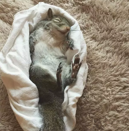 睡的没心没肺的，多安逸