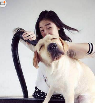 要不要这么销魂