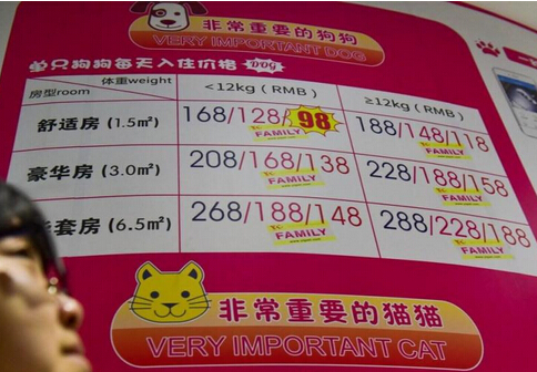 宠物酒店春节寄养150元一天供不应求