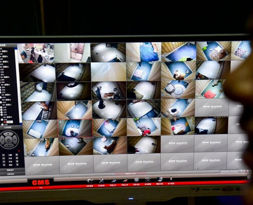 宠物酒店春节寄养150元一天供不应求