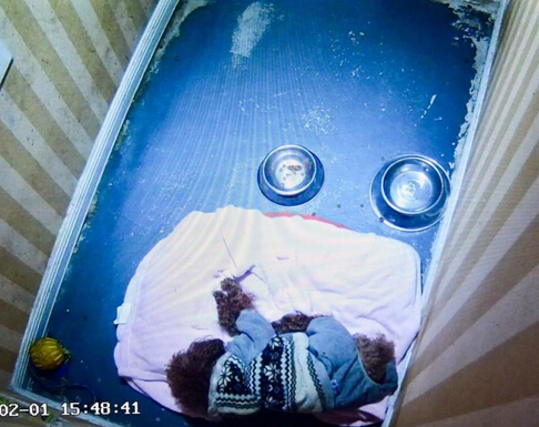 宠物酒店春节寄养150元一天供不应求