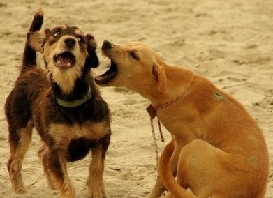 你说你到底爱不爱我