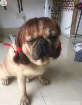 村里有个姑娘叫二汪~