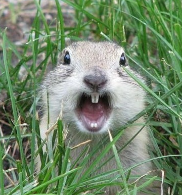 啊，你看到啥了？？