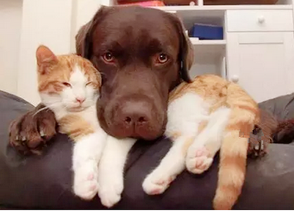 真是各种秀恩爱