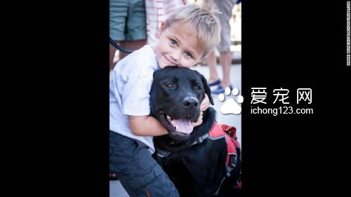 身负重任的服务犬，黑拉拉多次救男孩！