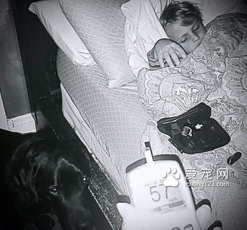 身负重任的服务犬，黑拉拉多次救男孩！