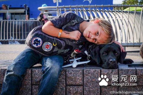 身负重任的服务犬，黑拉拉多次救男孩！