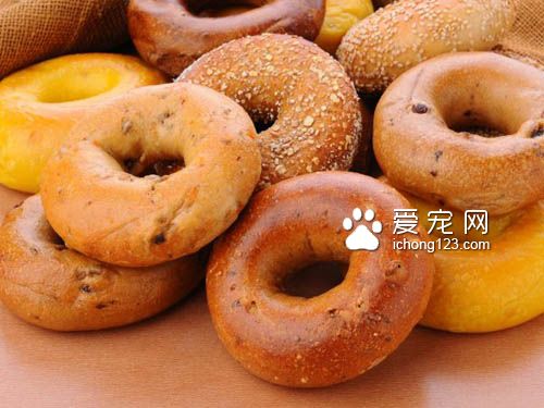 贝果和狗狗，傻傻分不清？