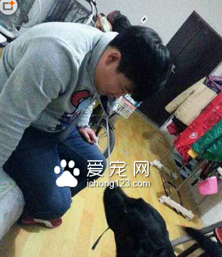 快带劳资出去玩