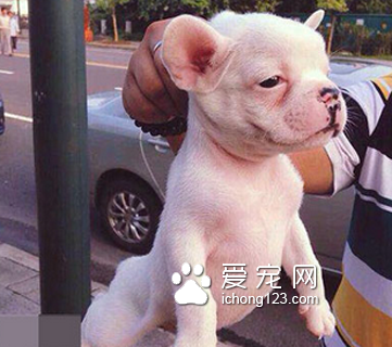 都让开朕要起飞