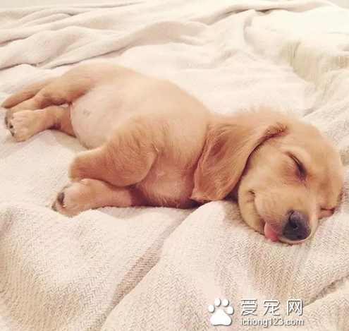 做了什么美梦吗？