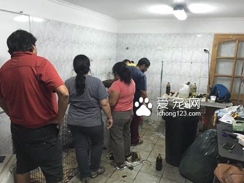 残忍的主人把狗狗丢尽沥青湖 幸得好心人及时救援