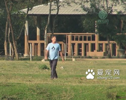 温柔的大象对着人撒娇牵手黏踢踢