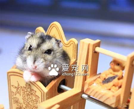 这是为我量身定制的啊