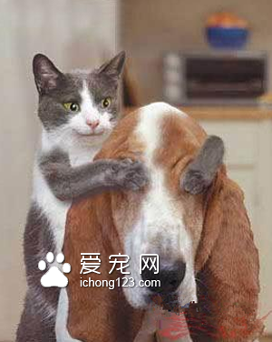 猜猜我是谁？