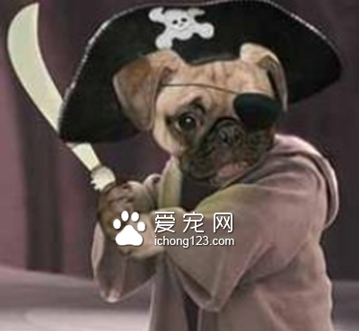 这个造型我给满分