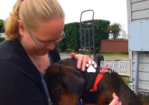 主人离世被遗弃的狗狗找到新家后不断的撒娇卖萌