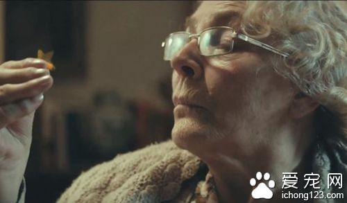 商家请来喵星人帮自家产品拍广告 画面非常治愈