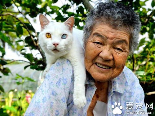 老奶奶和猫咪形影不离 但白猫因慢性肾衰竭而过世了