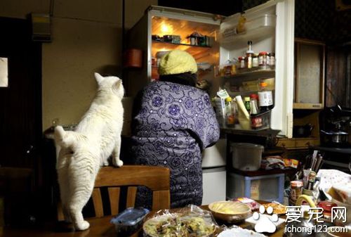 老奶奶和猫咪形影不离 但白猫因慢性肾衰竭而过世了