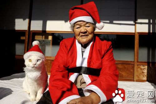 老奶奶和猫咪形影不离 但白猫因慢性肾衰竭而过世了