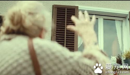 商家请来喵星人帮自家产品拍广告 画面非常治愈