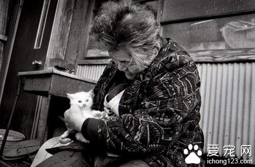 老奶奶和猫咪形影不离 但白猫因慢性肾衰竭而过世了